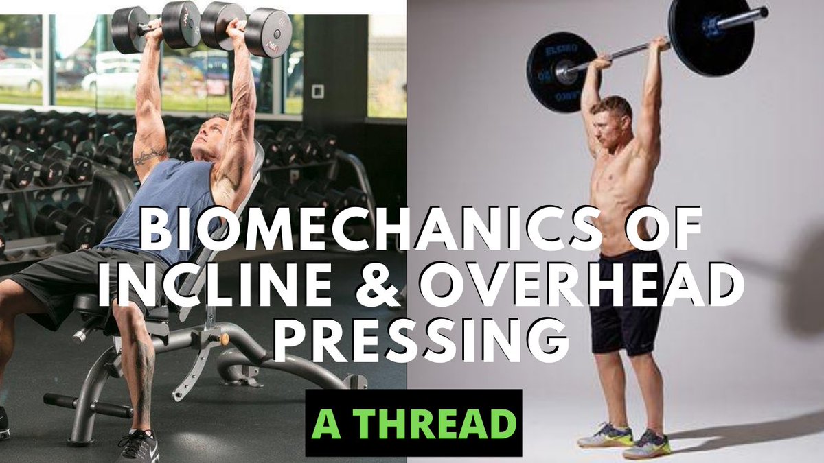 A thread on the biomechanics of incline & overhead pressingOverhead presses require a high degree of shoulder & scapular mobility as well as strength within those areas.However, many people lack the necessary range of motion. What’s going on and how can we address it?