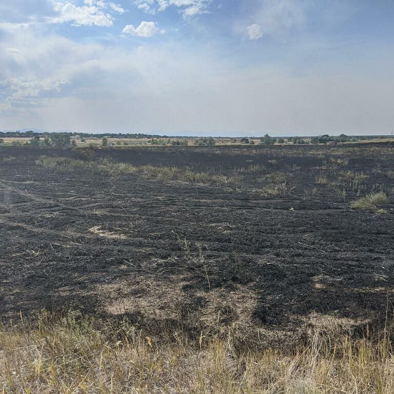 CherryCreekStatePark tweet media