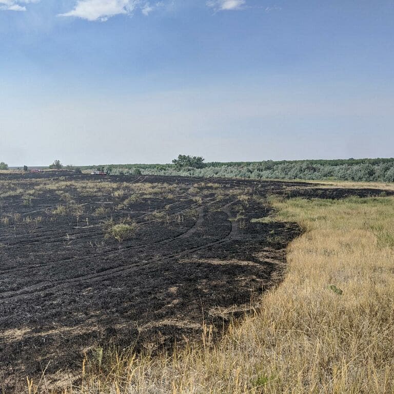 CherryCreekStatePark tweet media