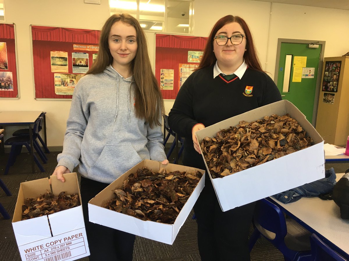 Drama Strade tweet media