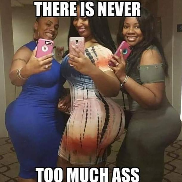 ohio_bbw's tweet photo. Truer words have never been spoken... Shout out to these Queens.. 

#bottomheavy #bbw #thick #ass #booty #pear #cakesofinstagram #toobig #manup #onlydogswantbones #curves #backsides #butt https://t.co/2PRsvzdmu4
