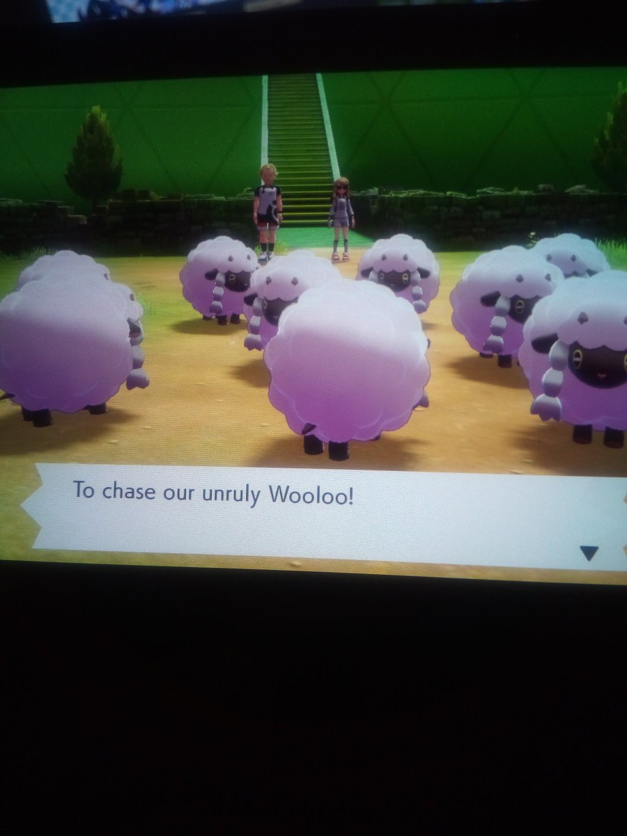 Ahh this is why Milo has a Wooloo! No wonder this was easy for Hop because Wooloo is one of his partner Pokémon 