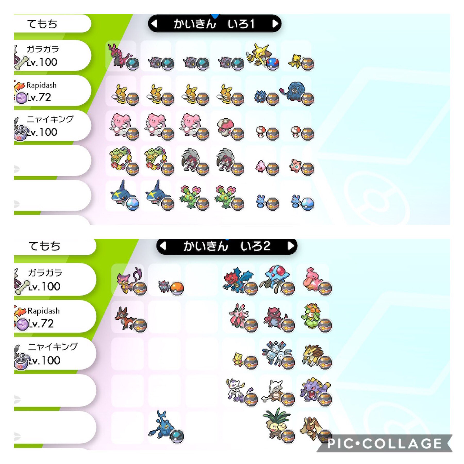 にせみい 色違いポケモン交換募集 出 画像1 2枚目 B25色ヒポポタス サファボ入原種色ジグザグマ追加 求 色 コバルオン 色卵など提案 出 画像3 4枚目 一部交換不可 売切 求 人気オシャボ 3 2 1 2程度 こちら そちら オシャボ入色など Ff外からも