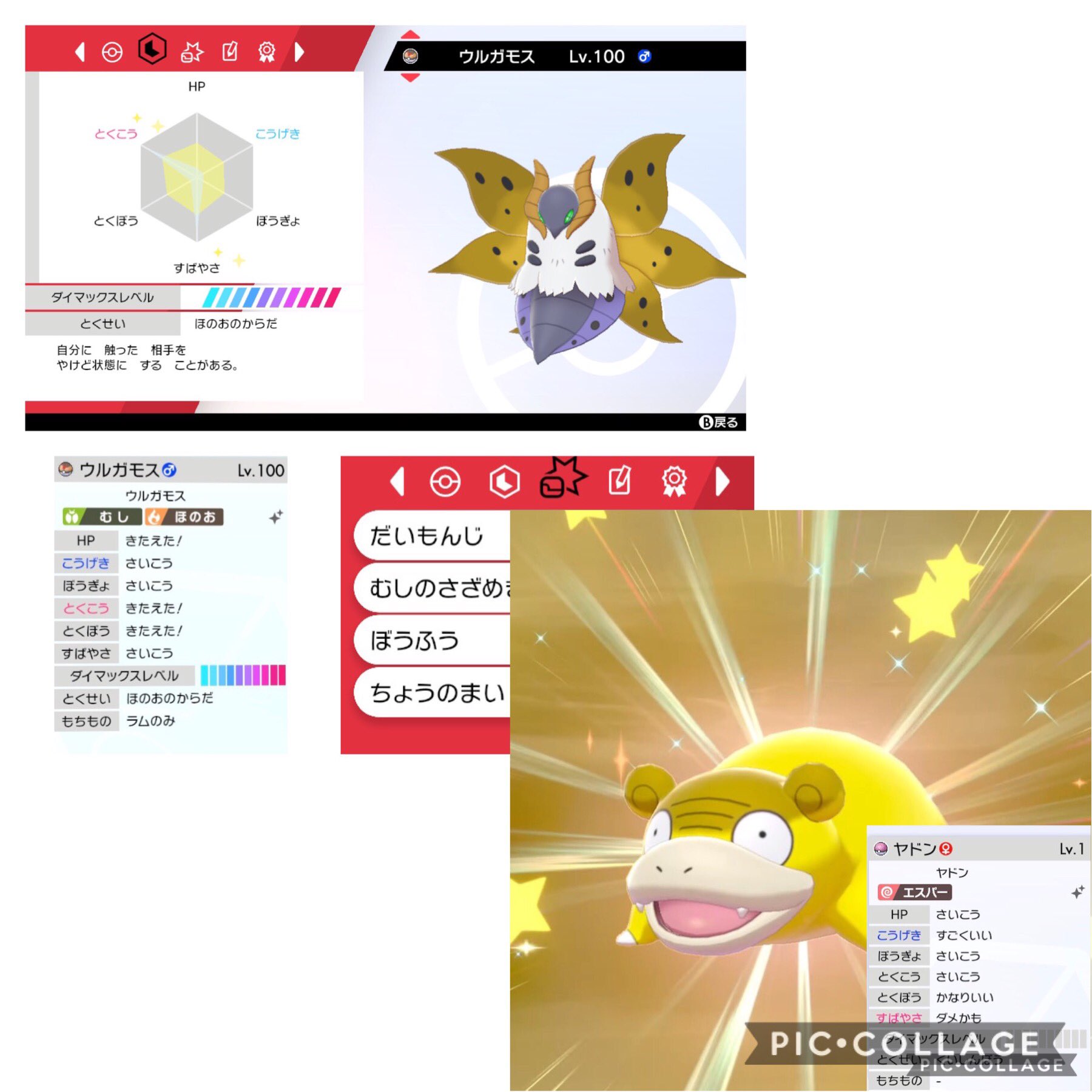 にせみい 色違いポケモン交換募集 出 画像1 2枚目 B25色ヒポポタス サファボ入原種色ジグザグマ追加 求 色 コバルオン 色卵など提案 出 画像3 4枚目 一部交換不可 売切 求 人気オシャボ 3 2 1 2程度 こちら そちら オシャボ入色など Ff外からも
