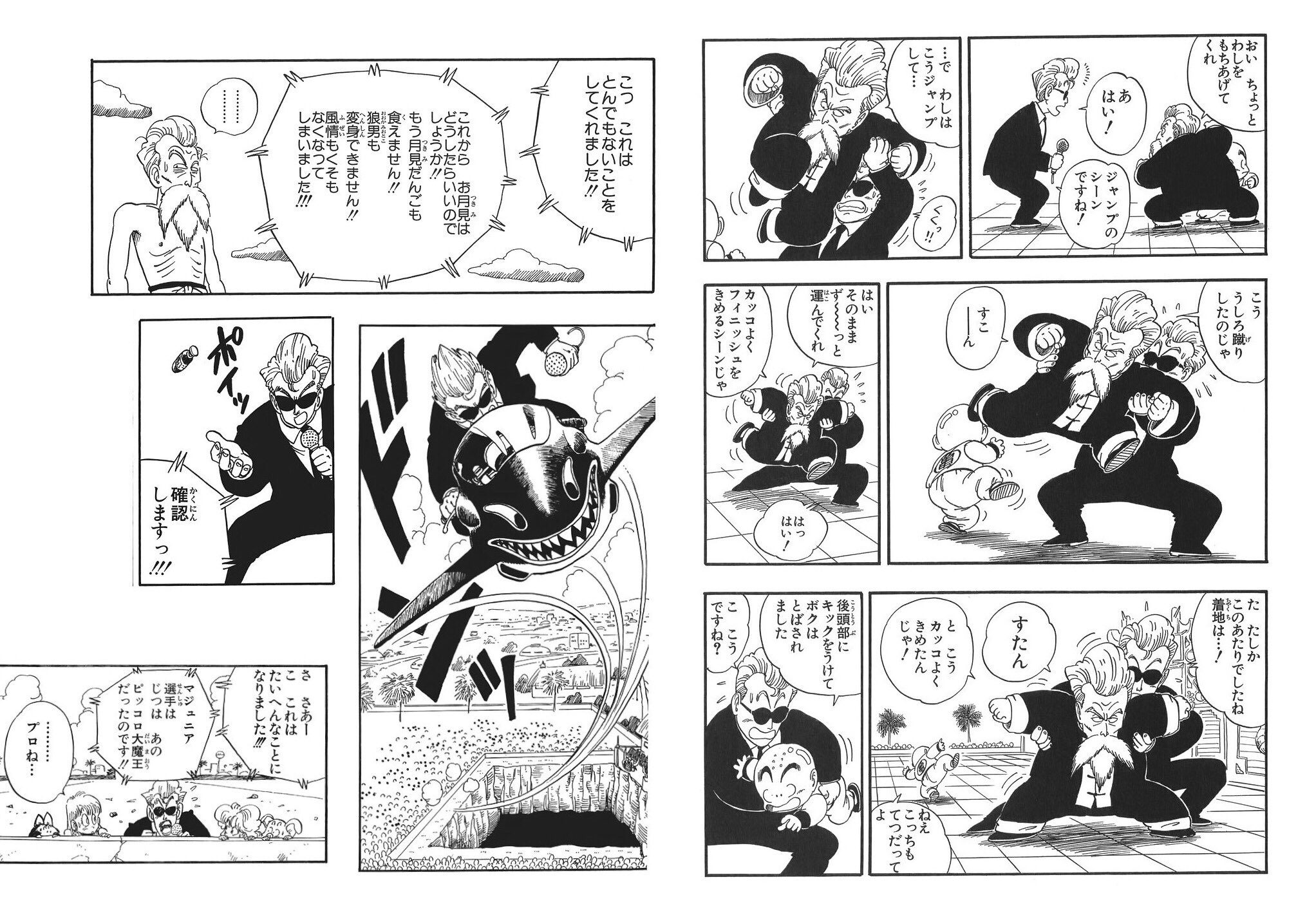 日々是 鳥山先生 審判のおっちゃん 天下一武道会の実況アナウンサー 大会の司会進行も務め途中からは審判業まで一手にひき受ける もう準ｚ戦士ですね天下一武道会はお寺で坊主さんたちが運営してますけど審判団は様子がちがいますし大会は数年おきですし