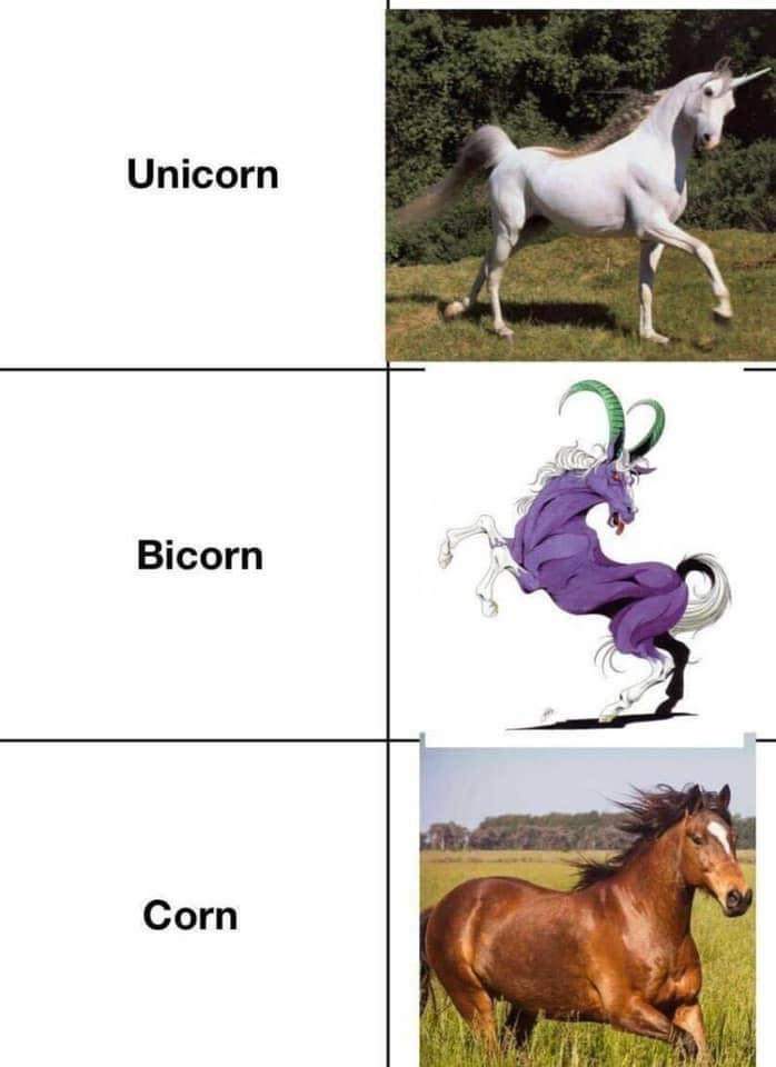 backThorGod's tweet image. How are the unicorns with no horns called?
Right, corns