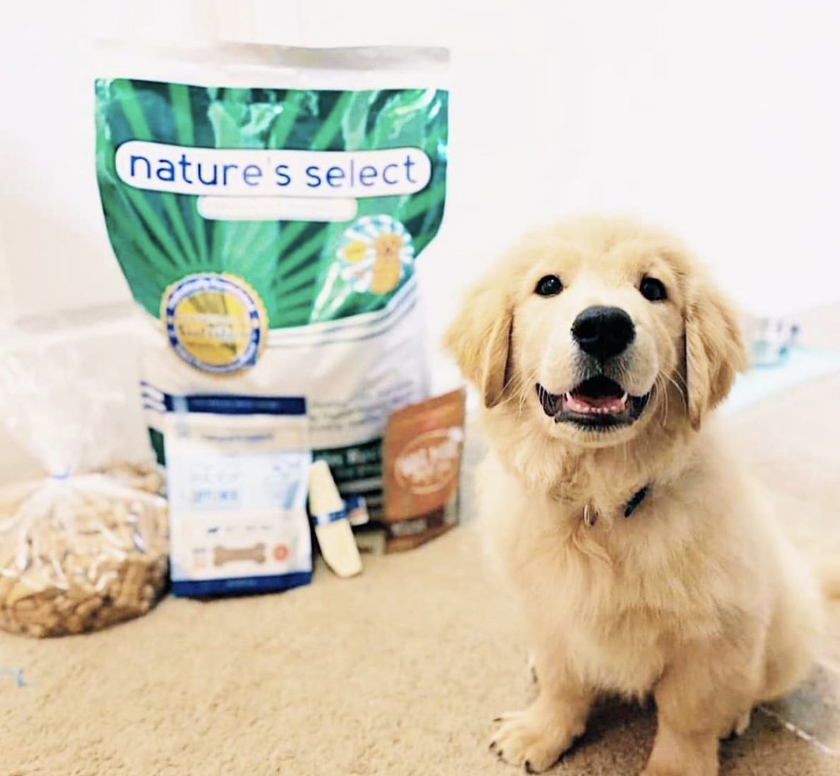 nature's select high protein dog food
