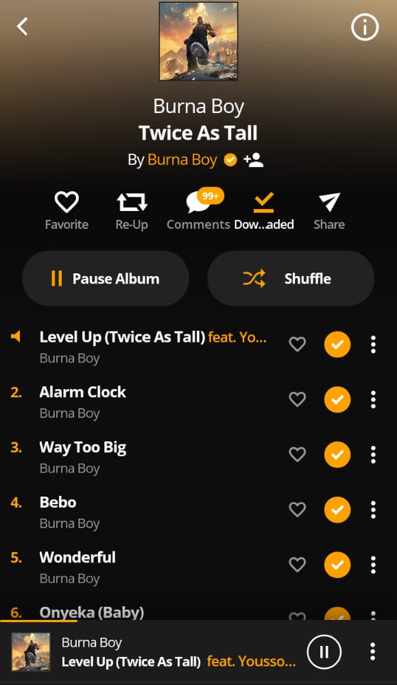 🔥 🔥 <a href="/burnaboy/">Burna Boy</a>