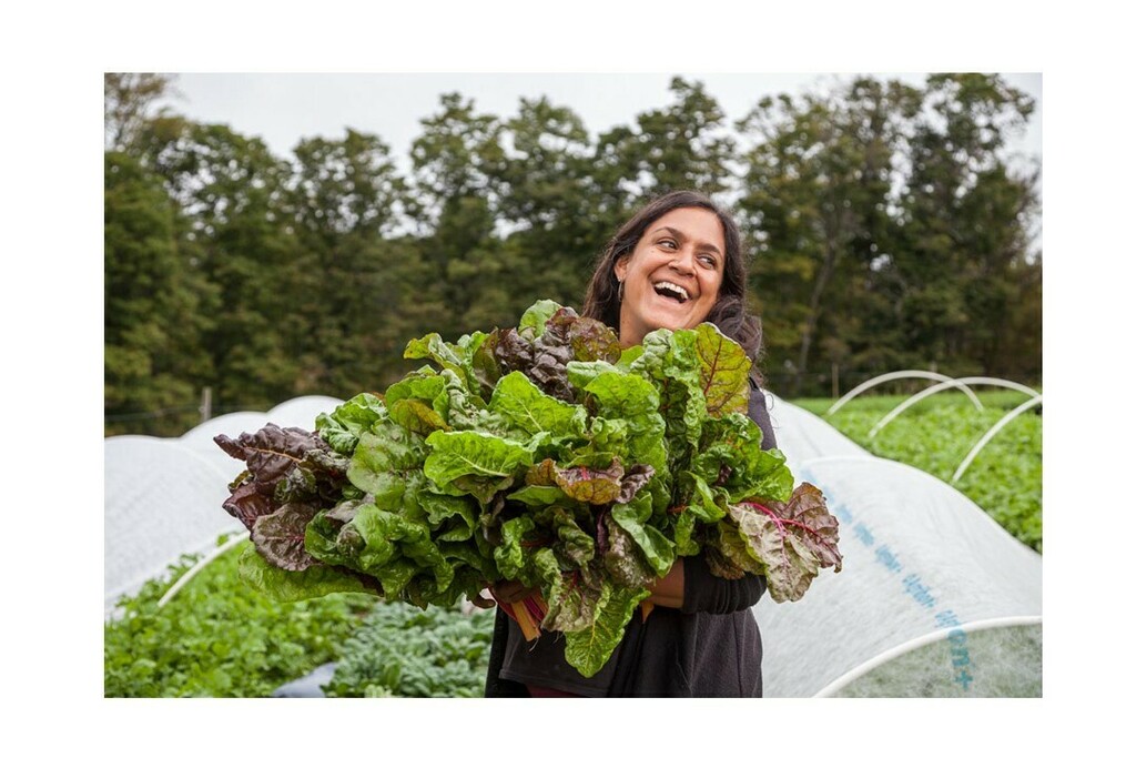 Sometimes I go silent on social media for a while. I find I need time to ruminate. I was feeling like I didn’t have much to say, and that I was just adding to a lot of noise. ⁠
⁠
Now, though, I have something to share that I hope you will find uplift… instagr.am/p/CD2JGiYg05Z/