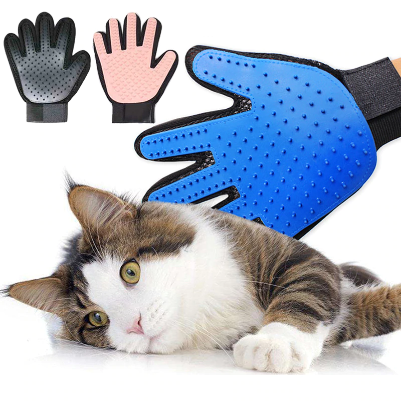 cat gloves! warning: cats probably won't like this, judging by this cat's face