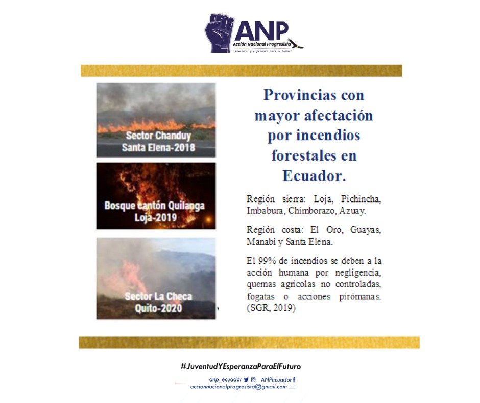 ANP_Ecuador's tweet photo. 📍AMBIENTE👇

Desde Acción Nacional Progresista comprometidos con el medio ambiente creemos que el modelo de gestión pública actual requiere cambios fundamentales y un pragmatismo que vele por el desarrollo sostenible.

Te invitamos a revisar el siguiente contenido.👇 https://t.co/P3nrKVm283
