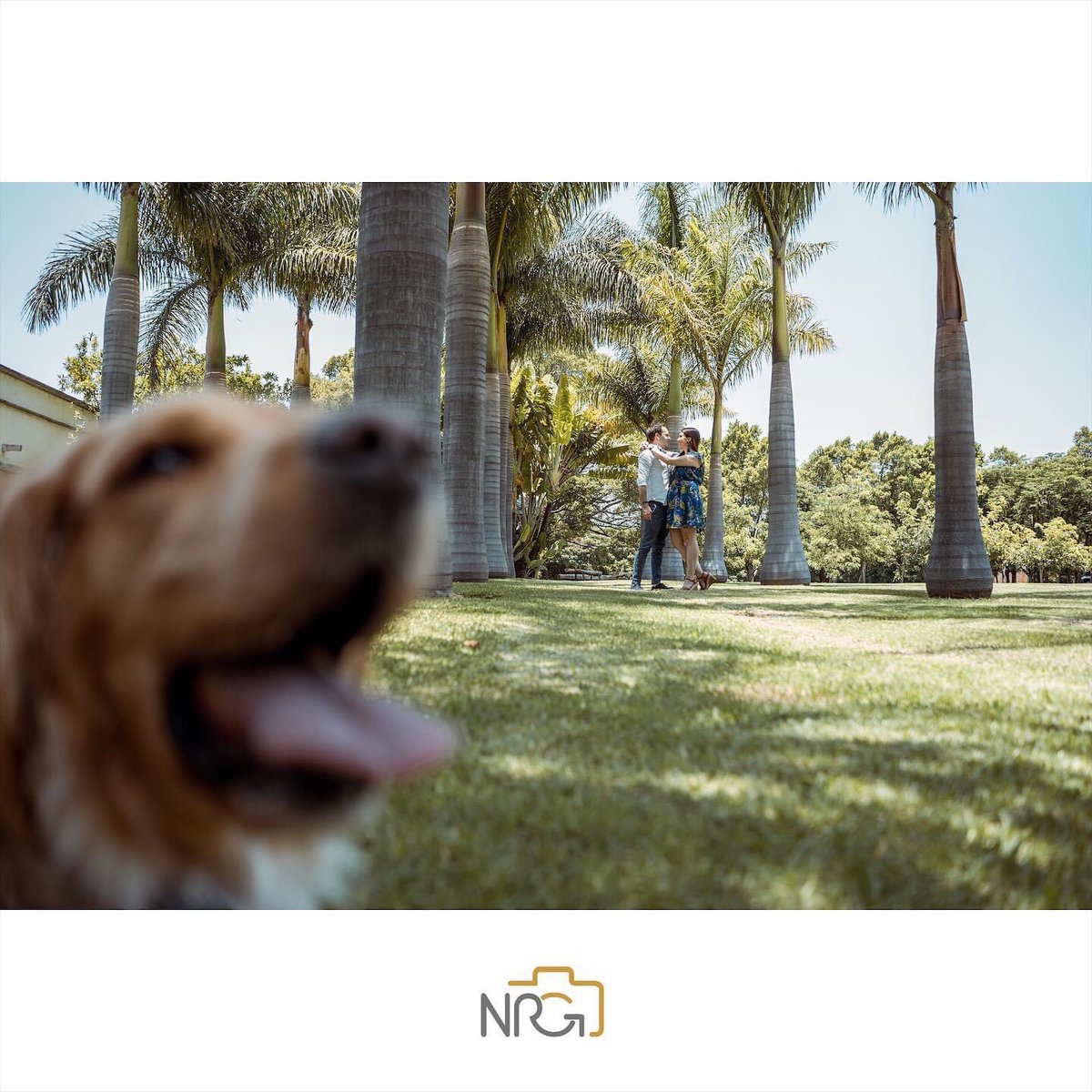NrgVideo's tweet photo. ¿Te casas en 2021? 
Agenda tu fecha con nosotros.
https://t.co/SUnUGagS5l
5521814841

“Sí al amor, sí a la vida juntos, sí al amor de mi vida” 
Felicidades Paulina &amp; Pablo 

#narrandohistorias #boda #bodas #bodascommx #wedding #bodas2021 #noviasconestilo https://t.co/b551kTqifj