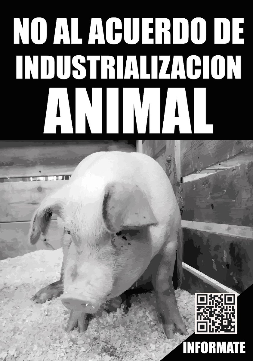 Veronicacmi's tweet photo. #BastaDeFalsasSoluciones
#NoAlAcuerdoPorcinoConChina

@alferdezok @felipesola_ok @juancabandie @basterraluis @msalnacion https://t.co/ceHfYRUyuN