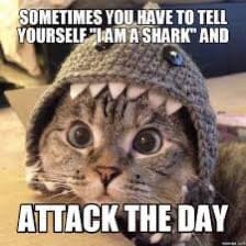 Amy_Loren_'s tweet photo. I may have taken this meme too seriously but...YOU GET IT! @SharkWeek @Discovery https://t.co/F7ZWq1eX0w
