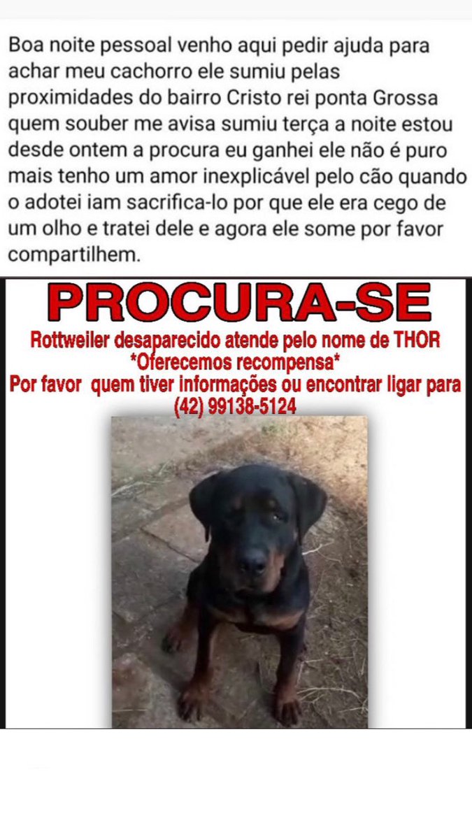 gente deem rt e compartilhem estamos desesperados atrás do thor, ele é muito especial🥺🥺