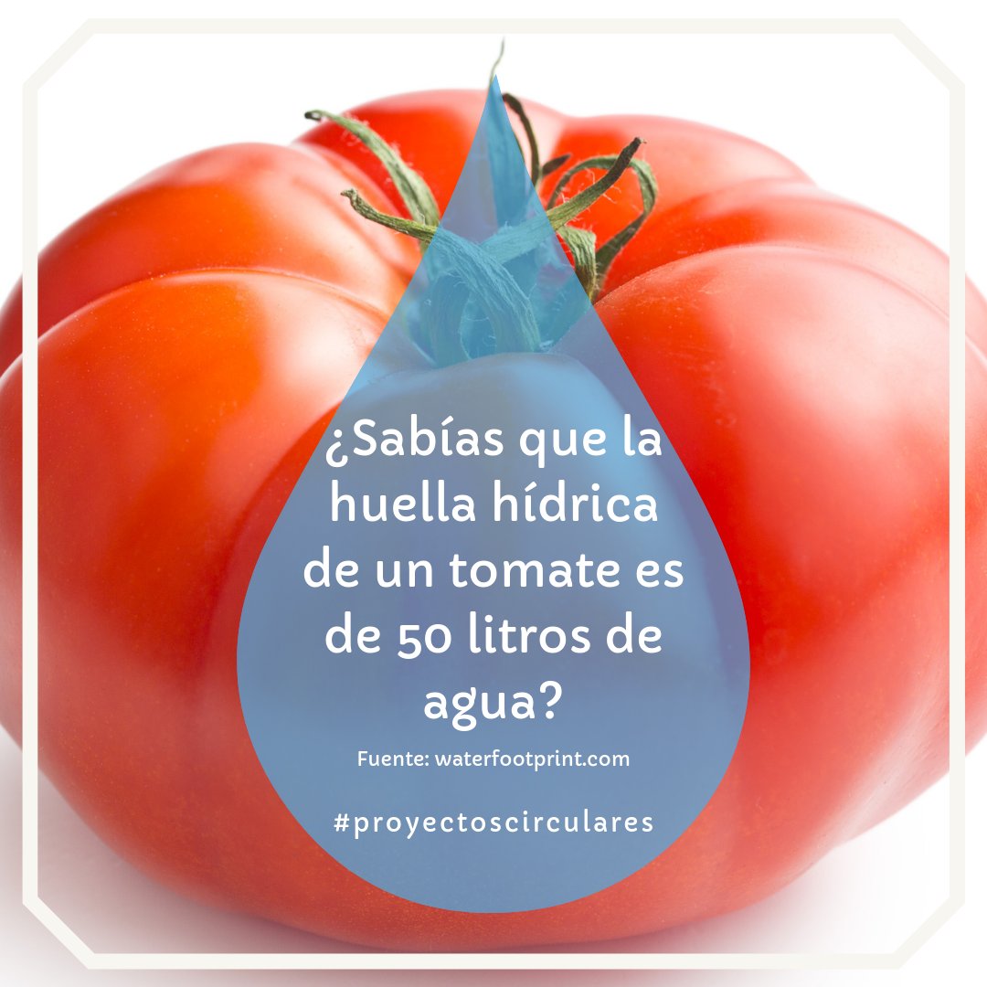 Si contamos todo el agua 💧 que es requerida a la hora de producir un tomate 🍅 tenemos este resultado 😱
.
#proyectoscirculares #sustentabilidad  #sustainability #reciclaje #recycling #impactoambiental #environmentalimpact #huelladelagua #huellahídrica #waterfootprint