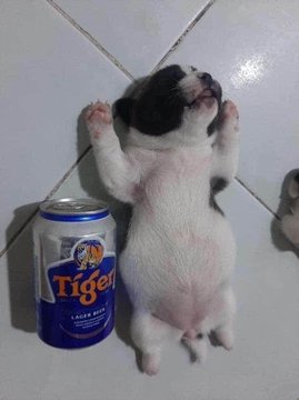 Cuando tus amigos te dicen que la juntada va a ser algo tranqui: