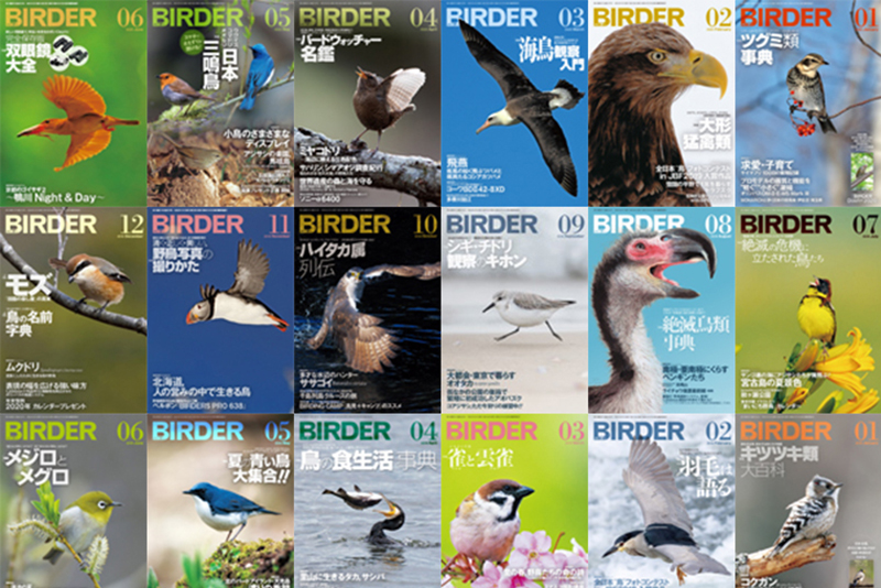 Birder野鳥 自然ニュース Birder Jp Birderjp Twitter