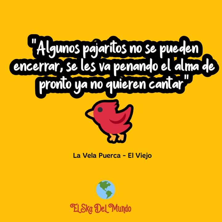 El Ska Del Mundo tweet media