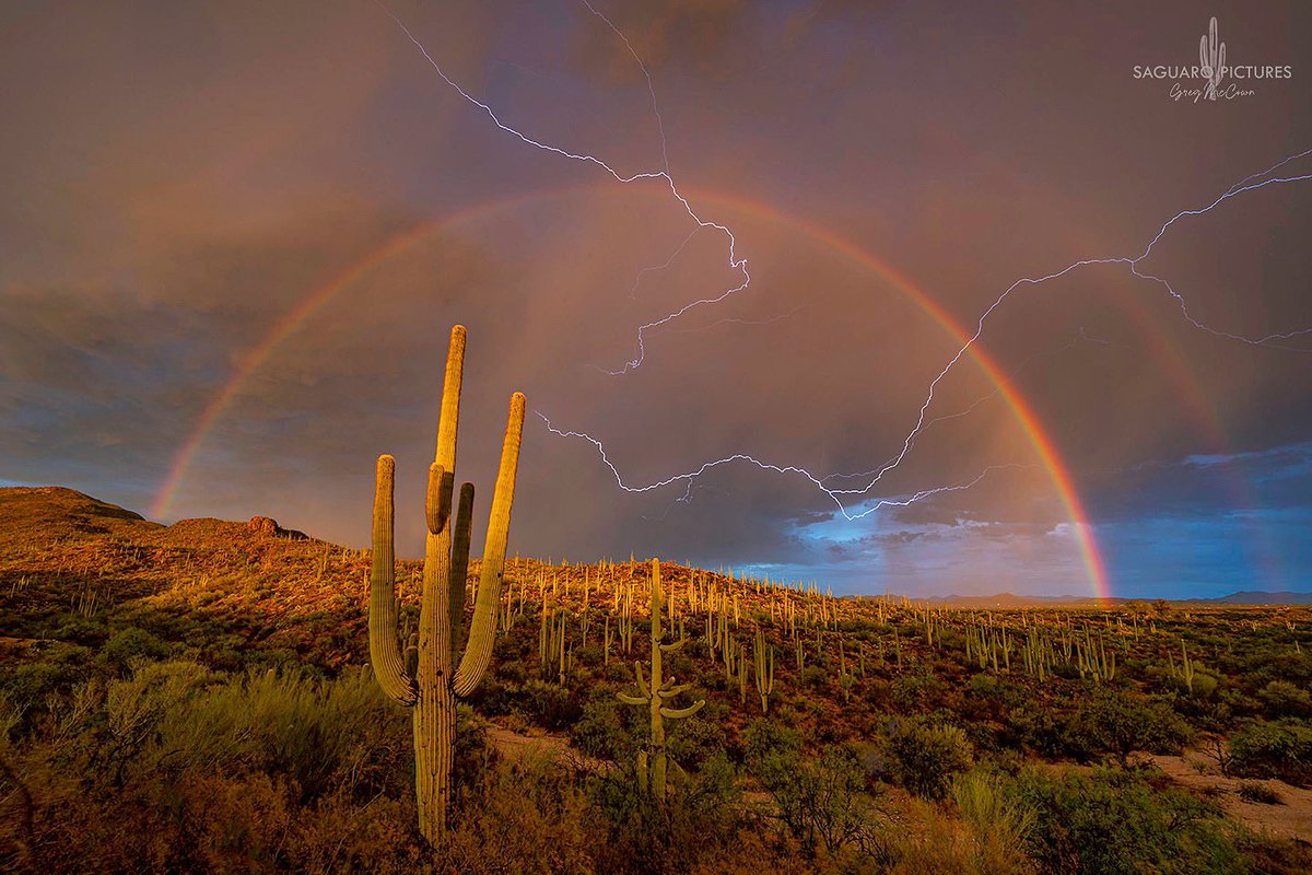 Saguaro, lightning and full rainbow over Saguaro National Park tonight. #azwx #saguaropictures