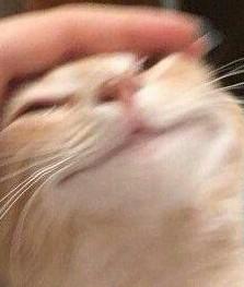 BeefBiggums's tweet photo. This my soul when I've listened to Justin Timberlake all day and I'm goin to bed knowing I did some shit with my life. https://t.co/He2hvuAVUo