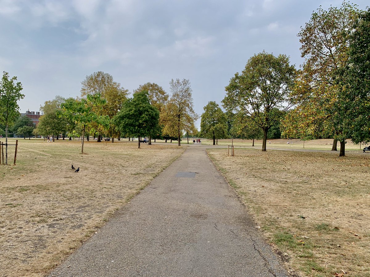 That was a lovely walk with my “walking buddy”...  #NursesActive  #ImperialPeople  #ImperialActive &ndash; bei  Kensington Gardens