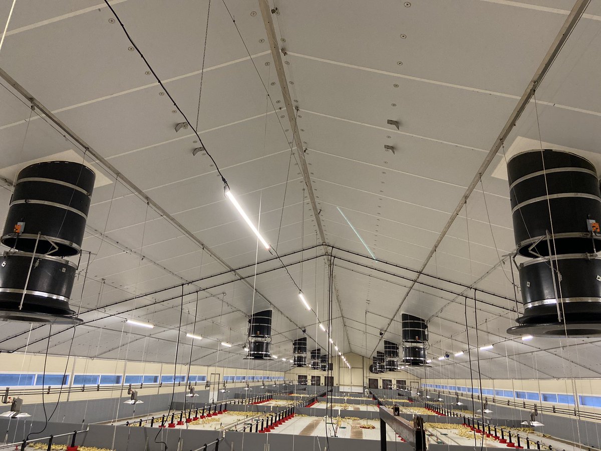 GENAUZEAUAntho's tweet photo. Première mise en place avec le concept cheminées @tpipolytechniek #sodalec modifié.Elle permettent l’entrée d’air avec un % de recyclage de la@or ambiant variant de 0 à 100. L’extraction se faisant en pignon,aucune vitesse d’air n’est perçue au niveau des animaux @CAVAC_ #volineo https://t.co/YNM2jhl8Gp