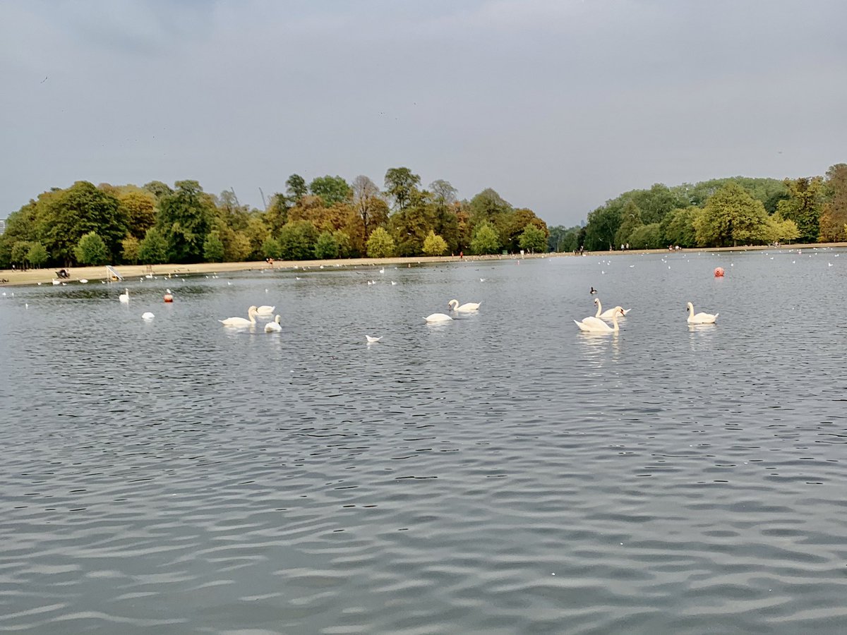 What about this  @Abby7t for my  #BestWildlifeSelfie entry? #NursesActive  #ImperialPeople #ImperialActive