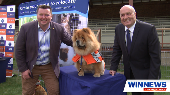 WINNews_Woll's tweet photo. Sudden emergencies can be a confusing time, especially when you have pets and animals and now the SES is launching a new online resource to help you prepare and ensure that everyone is kept safe in the case of an emergency.

We’ll have all the details tonight at 6pm. 
#WINNews6pm https://t.co/F8i0Qv49EQ