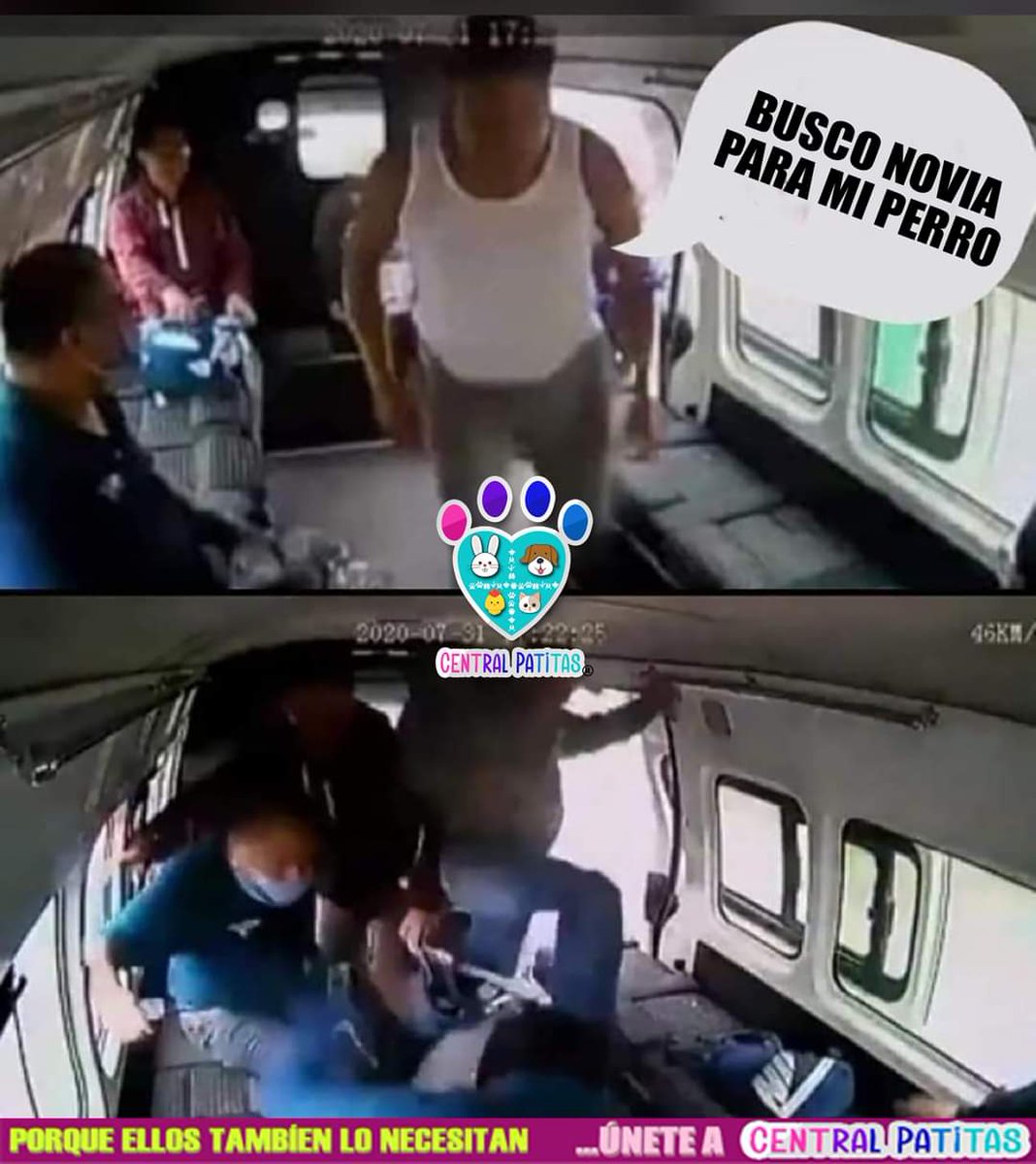 🤣🤣🤣 #CentralPatitas #AyudanosaAyudar