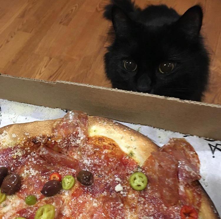 CoronatoPizza's tweet photo. Congratulations to this week's #CoronatoCommunity winner, @katlofe! We want to thank everyone for participating and showing off your takeout! ❤ https://t.co/TL2yvNhEpK