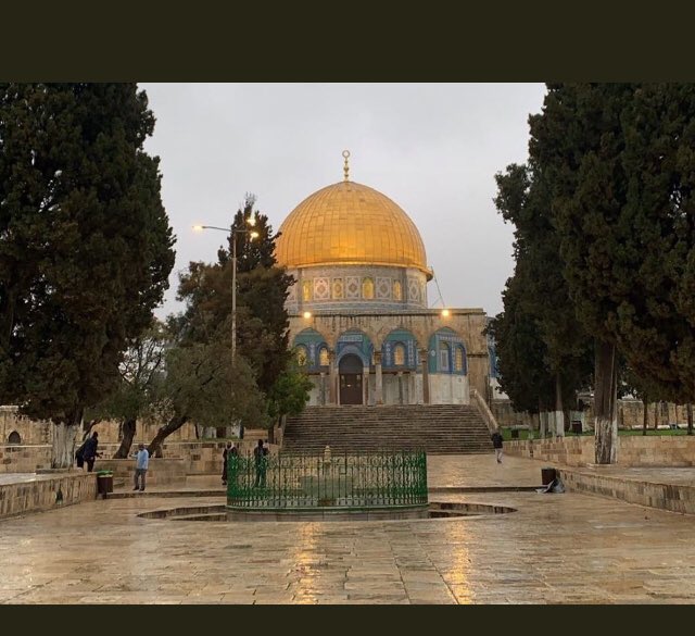 I’m supper excited for the great news that Muslims around the world able to visit and pray in #Alaqsa ❤️❤️❤️🇵🇸🇵🇸🇵🇸 thank you 😊 @MohamedBinZayed