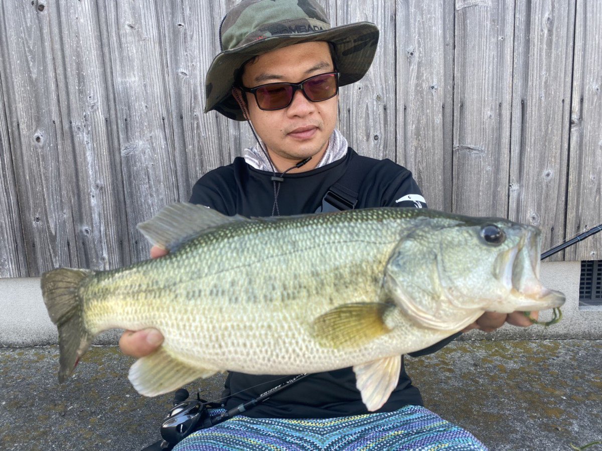 ありがたいお言葉