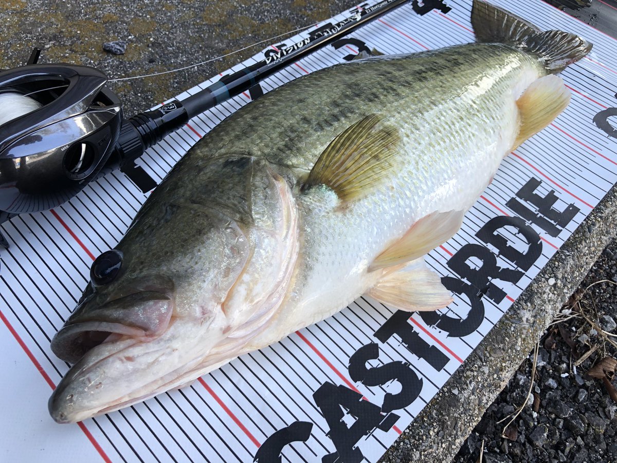 ありがたいお言葉