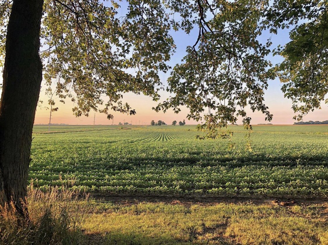 Tom Ashbrook tweet media