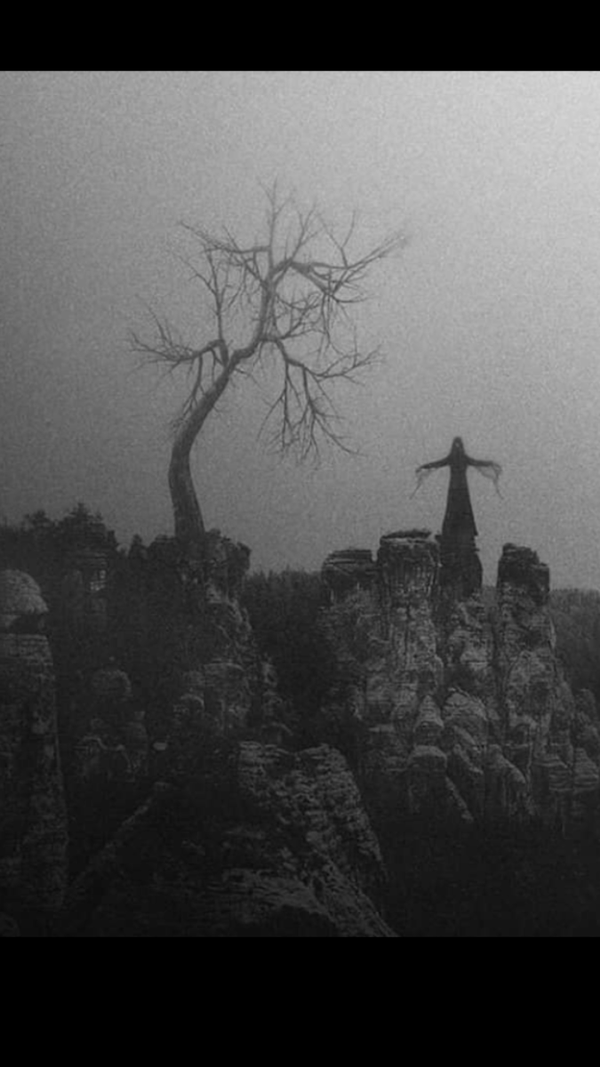 ConnieJoJo2's tweet photo. So very #gothic #gothicAF
#GothicLove https://t.co/gVQZhUa8VB