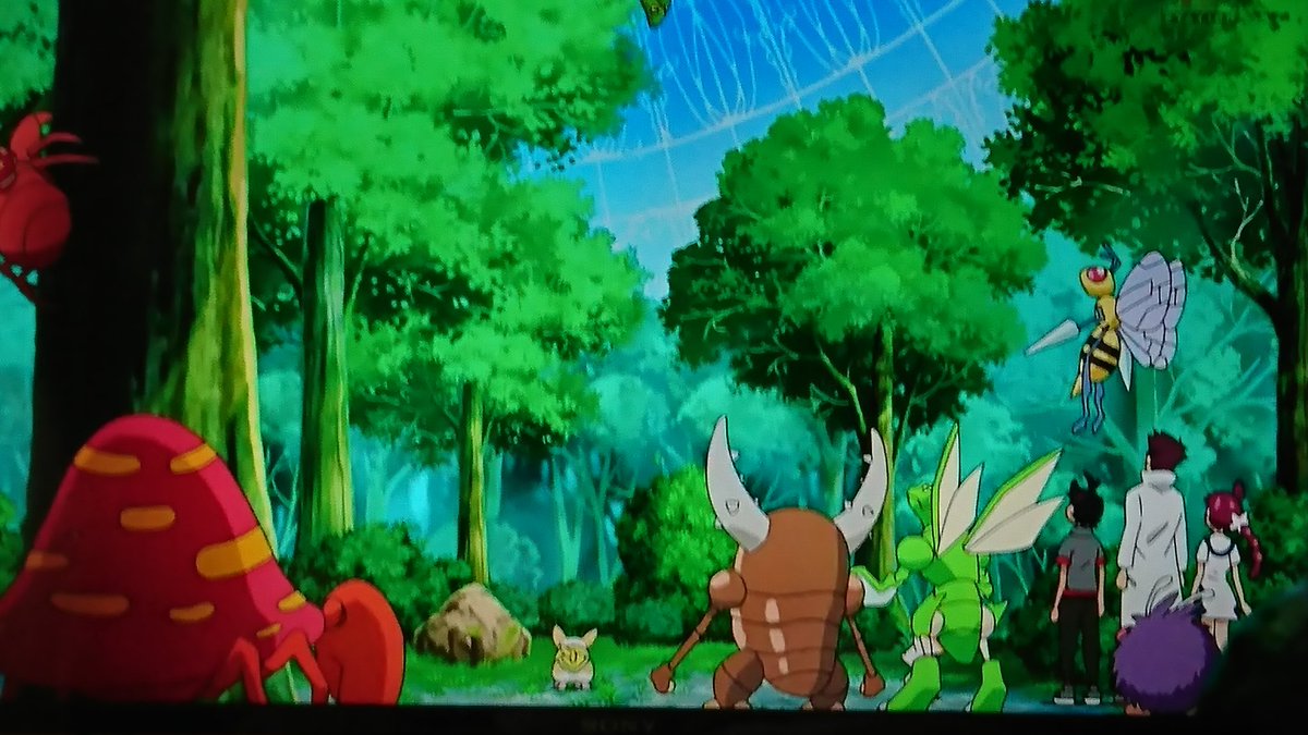 た 変わらなければならない人間 ヒバニー空気読めない蹴り トランセルの中身は柔らかい アニポケ Anipoke ポケモン