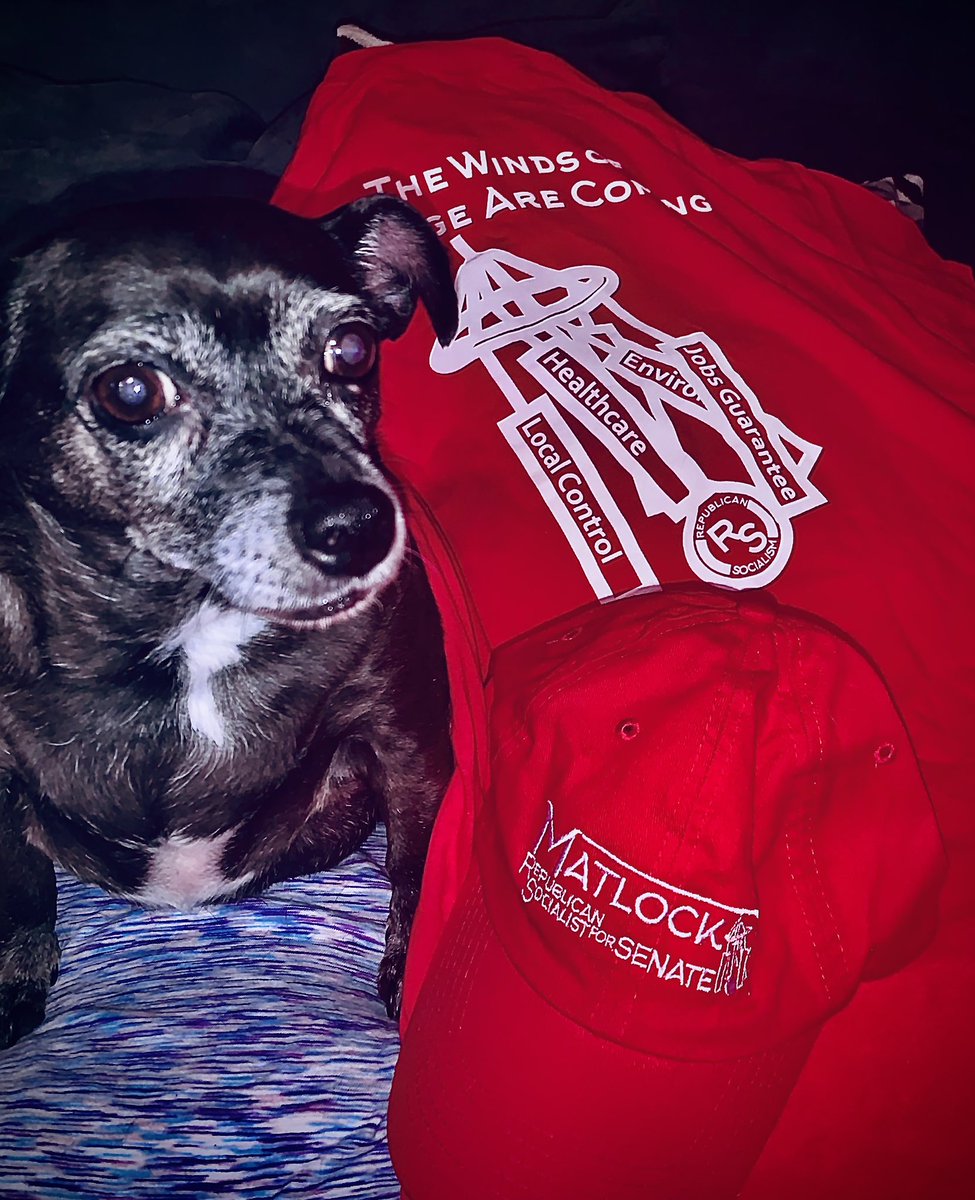 ChiweenieDiva's tweet photo. @TheHillofRoses @KansasBrian ๐ฏ absolutely Stella with #Dogs4Brian ๐พ says everyone should learn about #RepublicanSocialism ๐น @KansasBrian is amazing!! Stella is a Matlock Sunflower pup ๐ป #SunflowerSocialism ๐ป #TheWindsOfChangeAreComing #FlipTheSenateMatlock #Kssen #PeopleForBrian @PeopleForBrian https://t.co/C09swarWGK