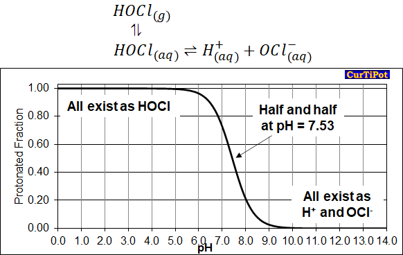 12/ In any hypochlorite solution, the amount of OCl- and HOCl is in ‘chemical equilibrium’ - both exist in a set ratio. The value of the ratio depends on the pH of the solution (how many H+ ions are present). Bleach is a basic solution (pH~11), so OCl- dominates.