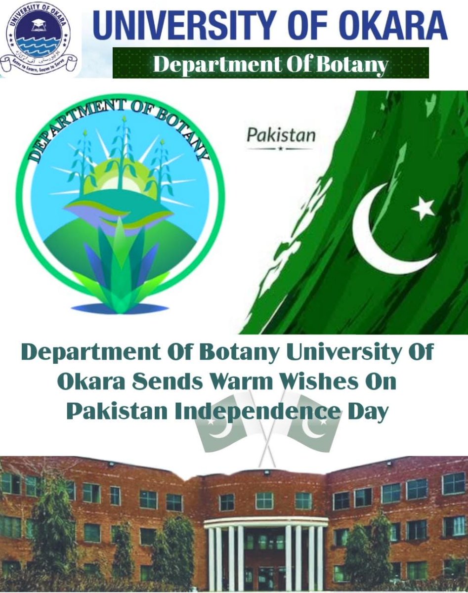 Manees347's tweet photo. Pakistan independence day 💐 https://t.co/ACD9sLLWtS