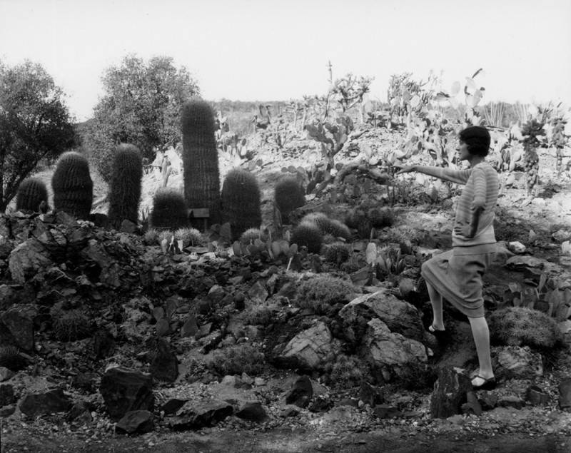 Woman looking and pointing at three cacti in the desert.