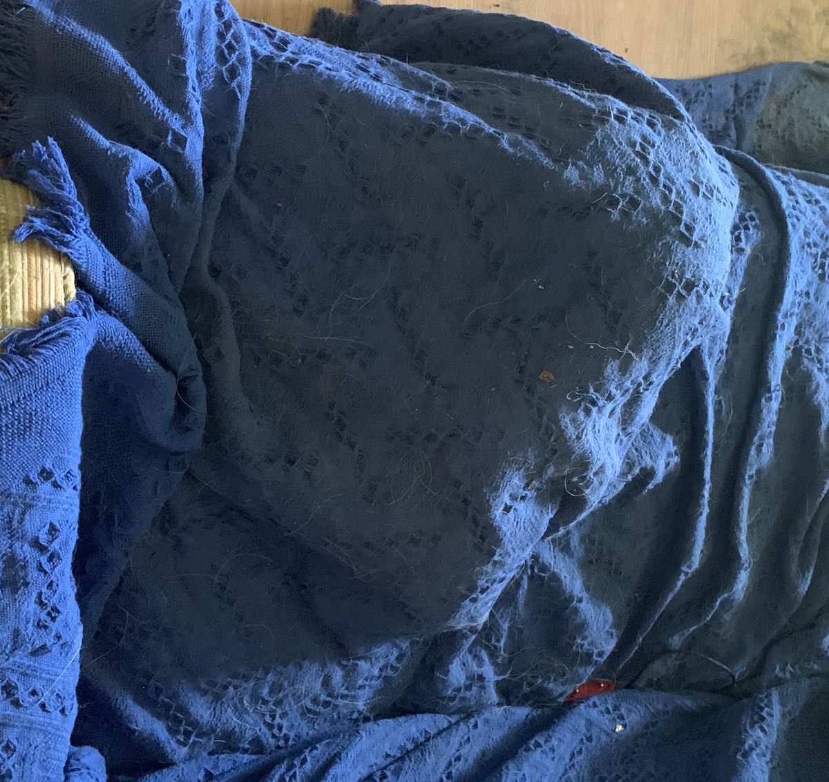 shannonminter5's tweet photo. Very strange lump on the couch. #ItsMoving https://t.co/OaGzKfvk9M