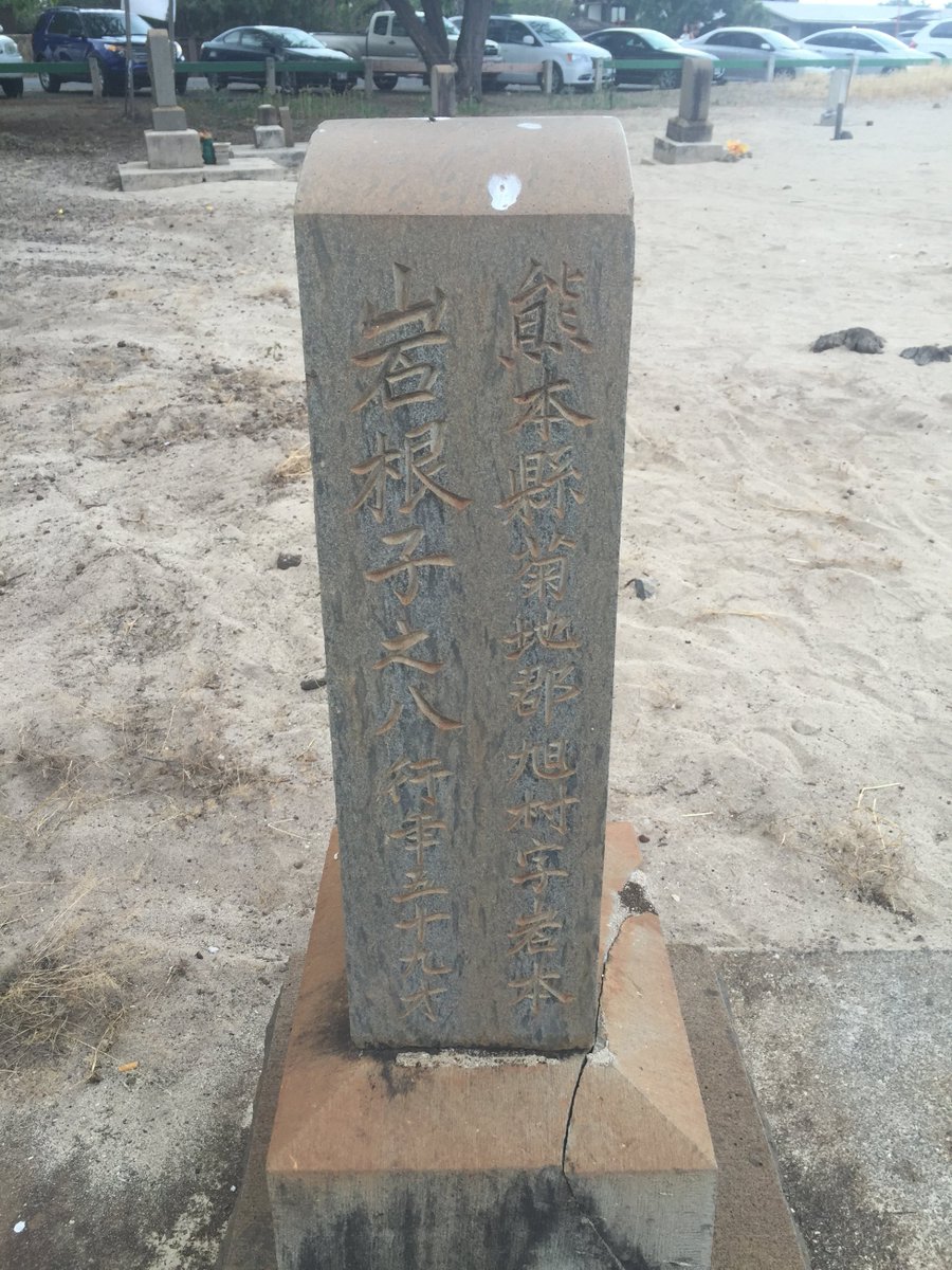 On the left of the marker carries the individual's name and age at death. Going down, we read 岩根子之八行年五十九才 (Iwane Nenohachi, aged 59 years). In Japanese custom, his family name is written before his given name.