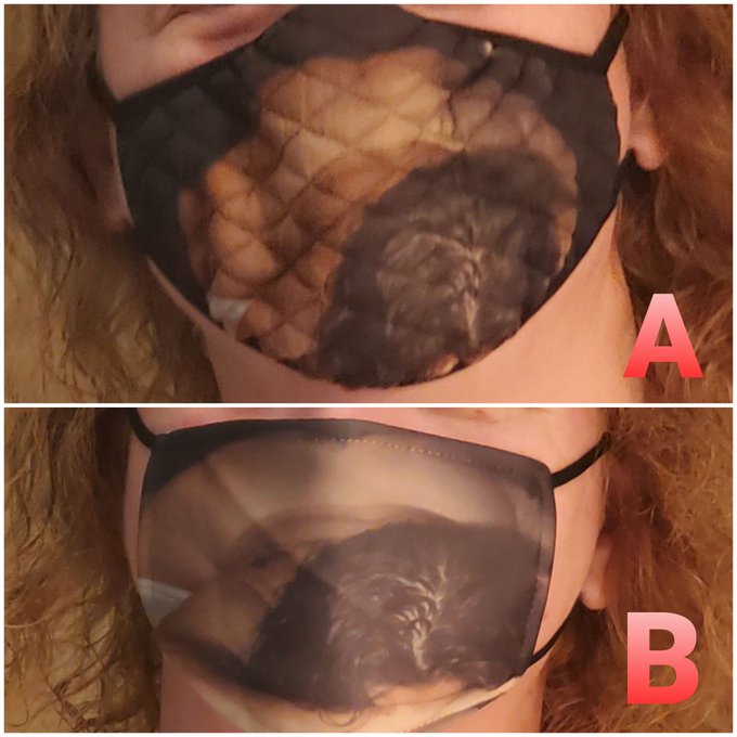 Which one https://t.co/IIKQtRdkXs
