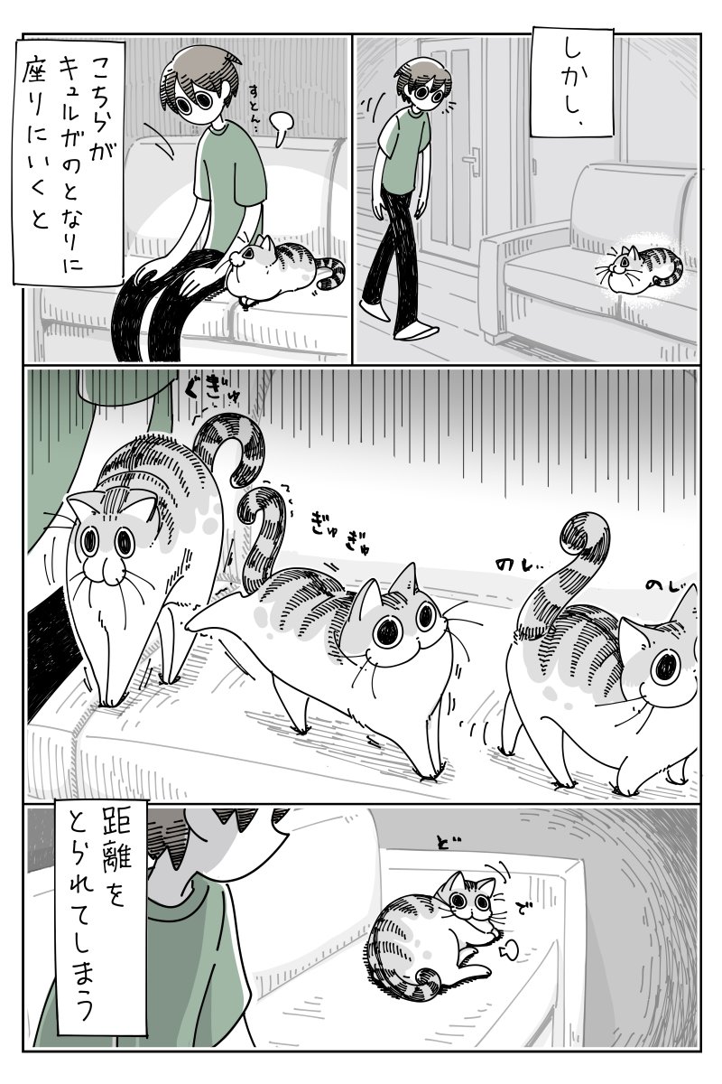 となりに座るネコ
https://t.co/aOYtWUYoQL 