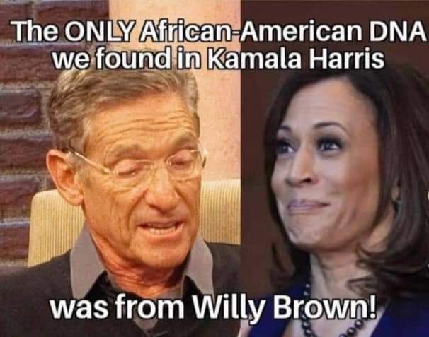 airavatvolvo's tweet photo. #TheAfricanConnection @lbrot1 @EternalRiteWing @StillUSA1st @angel_star39 @adirem1220 @SBSportsDiva @KAFosterSowell @reneewooding99 @marycjoyce2 @Go2Cindy @Txwench @BeaumontMelissa @maharru @REDSTILETTO4 @YourServiceYW https://t.co/Xr8570ZF6O