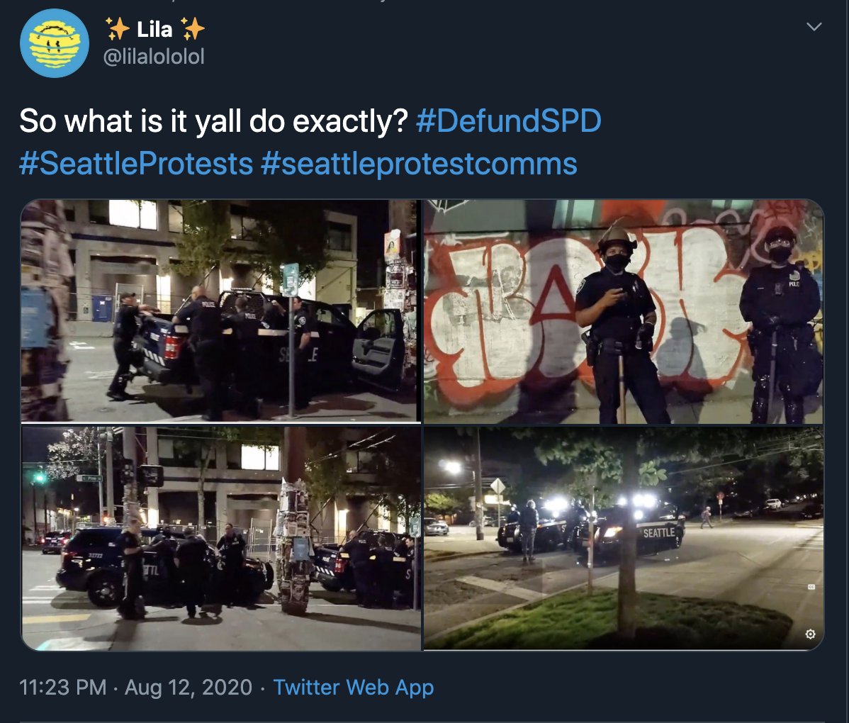 Let's start with last night... There was a noticeably large police presence in the neighborhood, with SPD circling the block around Cal Anderson all night, in their usual SUVs and undercover cars. Also circling the neighborhood were vehicles from Iconic Global.