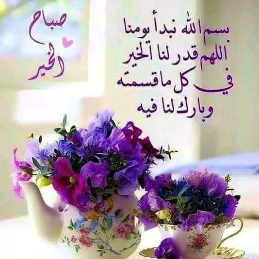 Alhassan7Walid's tweet photo. يسعد صباحكم بكل خير https://t.co/wwwvXG1gg1