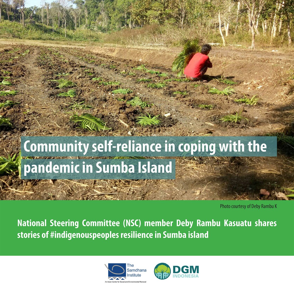 Community self-reliance in coping with the pandemic in Sumba Island 
..
National Steering Committee (NSC) member Deby Rambu Kasuatu shares stories of #indigenouspeoples resilience in Sumba island in a recent blog ➡️ bit.ly/3kui6IK