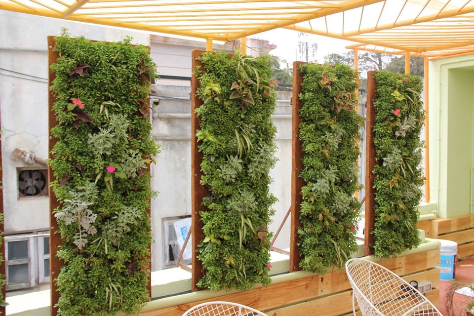 GardenWorld1's tweet photo. #landscapedesign #Gardening #landscapes
Garden World offers Landscaping design for Residential, Roof Garden with Landscape &amp; Garden Maintenance services, SEZ landscaping design, plants nursery, Garden UPVC Lattice, Vertical Garden. https://t.co/mmPc9BzBU3 https://t.co/HqzCw4cmPE